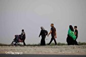 گزارش تصویری | طریق کربلا