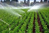 سالانه ۱۱۶ میلیون مترمکعب آب با روش های نوین آبیاری در یزد صرفه جویی می شود