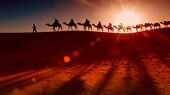 ببینید | امام حسین (ع) به چه کسانی فرمودند کربلا را ترک کنند؟