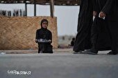 گزارش تصویری | پیاده روی اربعین