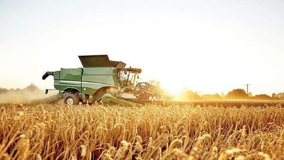 رییس سازمان جهاد کشاورزی استان قزوین از رشد ۲۷ درصدی طرح جهش تولید در دیمزار‌های استان برای سال زراعی جاری خبر داد.