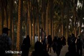 گزارش تصویری | راهپیمایی اربعین