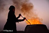 گزارش تصویری | پیاده روی اربعین