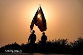 گزارش تصویری | پیاده روی اربعین