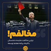 چرایی مخالفت نماینده دشتستان با لایحه برنامه هفتم توسعه