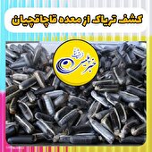کشف بیش از ۲ کیلوگرم تریاک از  قاچاقچیان