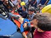 گزارش تصویری | جنایات رژیم صهیونیستی در غزه
