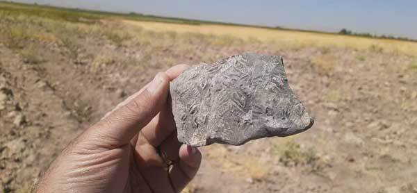 عکس | کشف مهم در غرب ایران