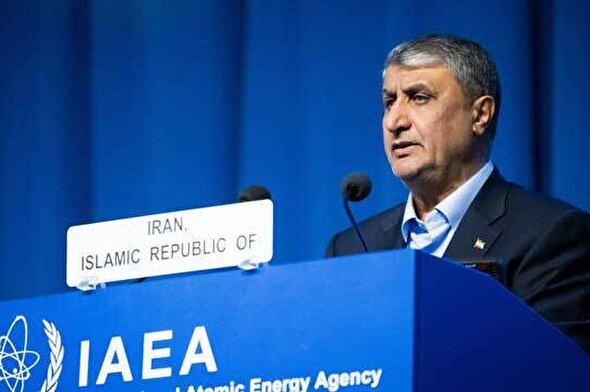 ایران ۱۰ برابر دیگر کشورها مورد بازرسی آژانس قرار می‌گیرد