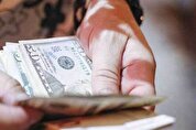 جزئیات تخصیص ارز از زبان معاون ارزی بانک مرکزی