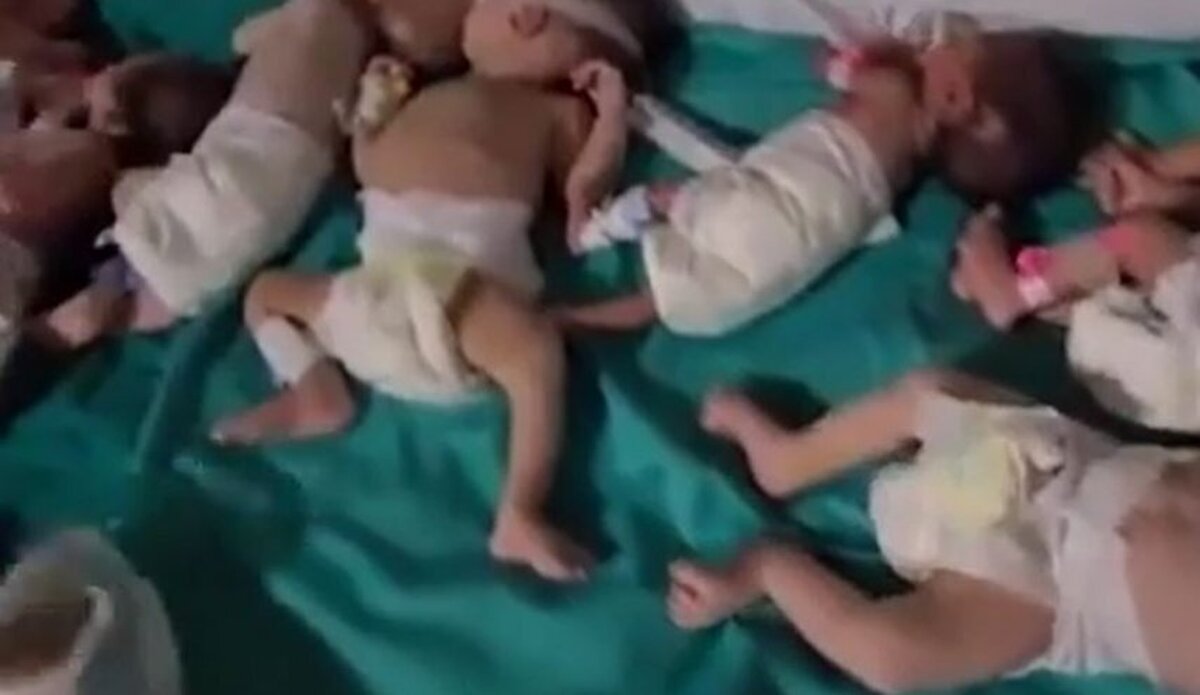 رئیس بخش سوانح سوختگی بیمارستان الشفاء در غزه اعلام کرد که نوزادان نارس در این بیمارستان به علت نبود امکانات یکی یکی در حال تلف شدن هستند.