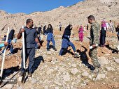 پویش مردمی کاشت درخت در چرام