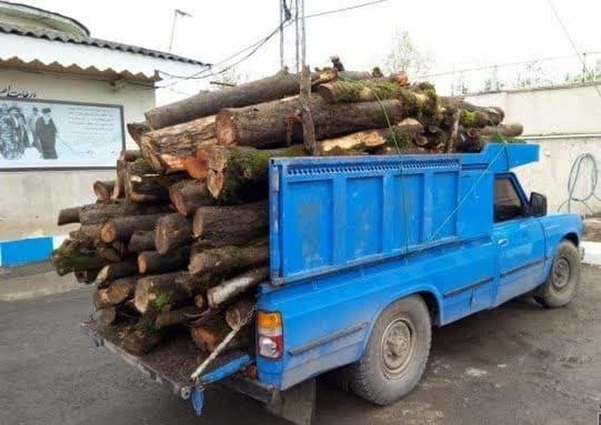 توقیف ۲۸ خودروی حمل چوب بدون مجوز درشهرستان زرند