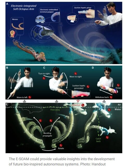 ساخت بازوی نرم هشت پا برای تعامل انسان ساخت بازوی نرم هشت پا برای تعامل انسان