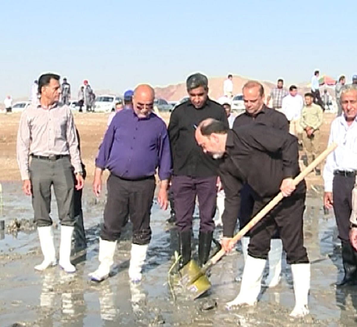 کاشت دو هزار اصله نهال حرا در ساحل روستای بوستانو بندرعباس