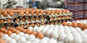 اجرای طرح نظارتی بر بازار مرغ و تخم مرغ در خراسان جنوبی