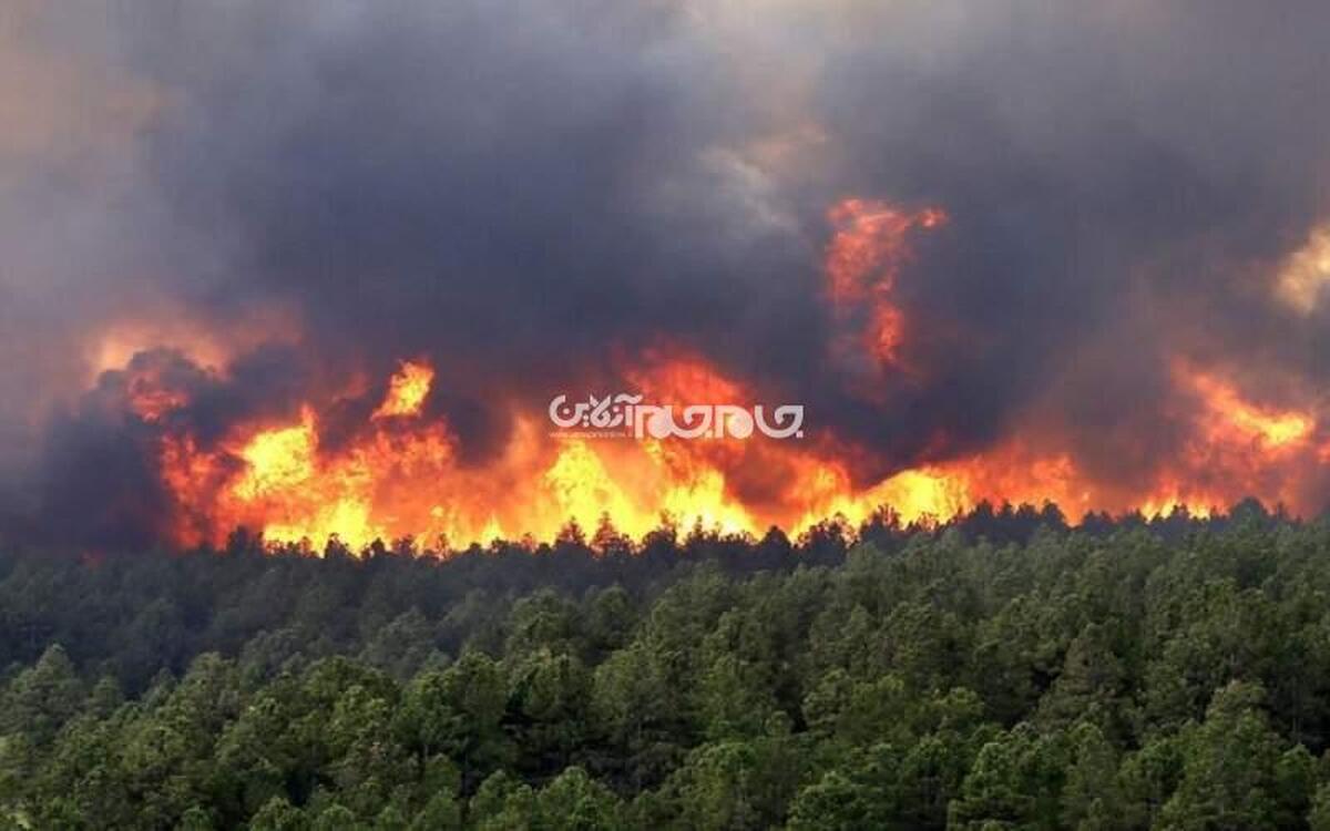 آتش در جنگل‌های غرب مازندران شعله‌ور شد