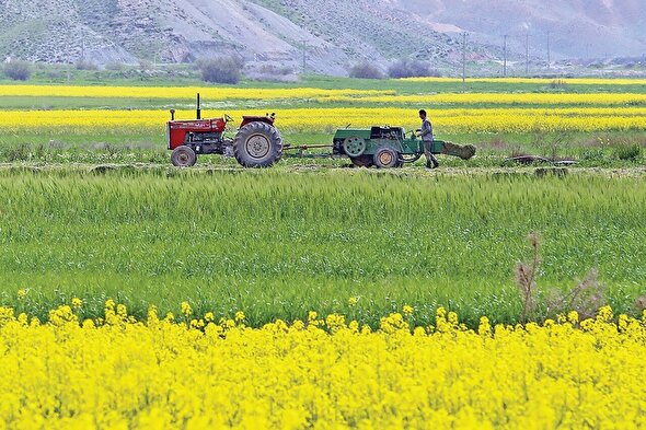 کشاورزی؛چشم‌انتظار الگوی کشت