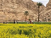اصفهک در مسیر جهانی شدن