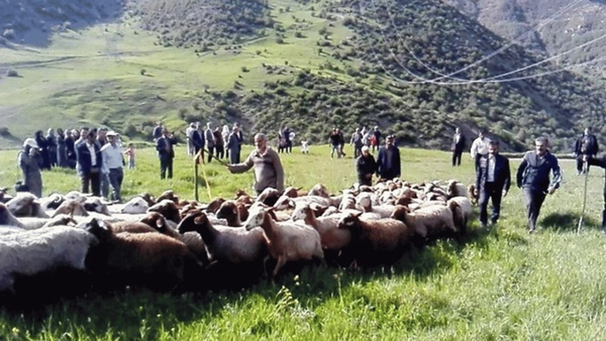 رئیس اداره امور عشایر مازندران، از  آمادگی کامل برای حمایت از عشایر فعال و مولد استان در زمینه‌های گردشگری، تولید گیاهان دارویی، صنایع دستی و تولید گوشت قرمز خبرداد.