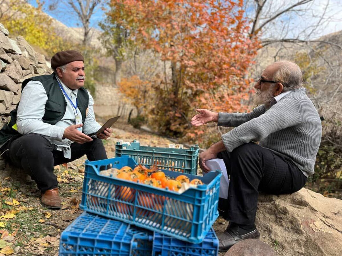 مجموعه مستند «سین مثل سرشماری» به‌تازگی پخش خود را از شبکه‌های سراسری و استانی آغاز کرده و با تصاویر جذاب خود توجه بینندگان را جلب می‌کند.