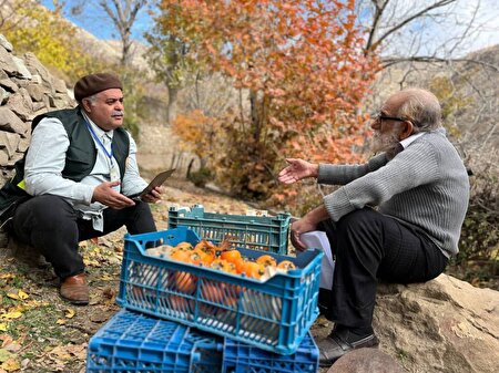 آغاز «سین مثل سرشماری» در شبکه‌های سیما