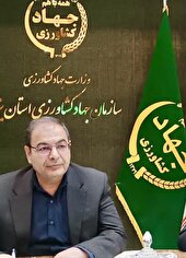 فراوانی گوشت مرغ در استان یزد تا پایان ماه مبارک رمضان