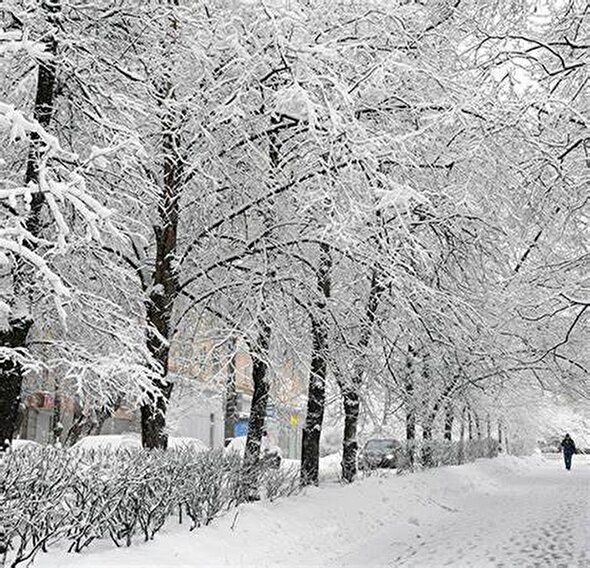 مازندران یک‌دست سپیدپوش شد