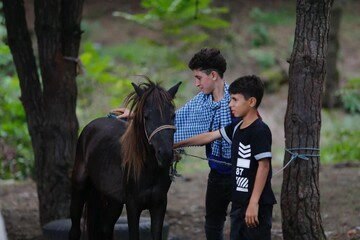 حفاظت از اسب کاسپین ، نژاد اصیل و میراث معنوی ملی