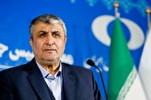 نیمی از موارد باقی مانده با آژانس بین‌المللی انرژی اتمی حل و فصل شد
