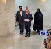 ببینید | «امیر محمدحسن نامی» وارد ستاد انتخابات شد