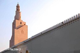 گزارش تصویری | مسجد شجره