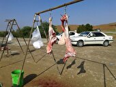 خودداری از خرید گوشت ذبح دام‌های غیرمجاز در آستانه عید قربان