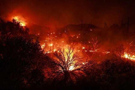 ببینید | آتش سوزی مهیب در کالیفرنیا و تخلیه هزار نفر