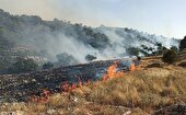 مهار آتش سوزی در جنگل‌های قلات شهرستان سرچهان