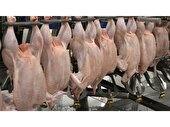تولید 59 هزار تن گوشت سفید در ساری