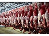 توزیع هشت تن گوشت قرمز گرم تنظیم بازاری در بابل