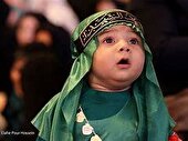 « سوگواره شیرخوارگان حسینی» در ساری برگزار می شود