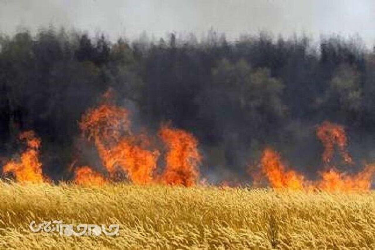 مهار آتش سوزی ۶۱ هکتار مزارع کشاورزی گلستان توسط منابع طبیعی