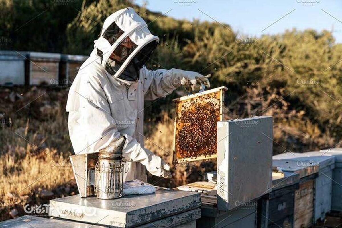 زنبورداران استان که سال گذشته به دلیل خشکسالی دچار خسران شدند معتقدند اگر مورد حمایت قرار گیرند می توانند عملکرد بهتری در این صنعت داشته باشند.