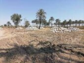 شناسایی ۶۸۷ مورد تغییر کاربری غیرمجاز در اراضی کشاورزی خوزستان