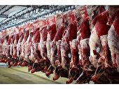 توزیع 1.3 تن گوشت گرم قرمز تنظیم بازاری در سوادکوه