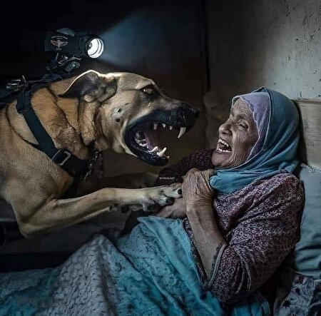 ببینید ا حمله سگ ارتش اشغالگر به پیرزن فلسطینی