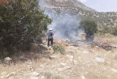 مهار آتش‌سوزی در منطقه حفاظت شده تنگ بستانک مرودشت