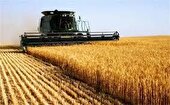 خرید تضمینی ۸۰۰ هزار تن گندم از کشاورزان فارسی