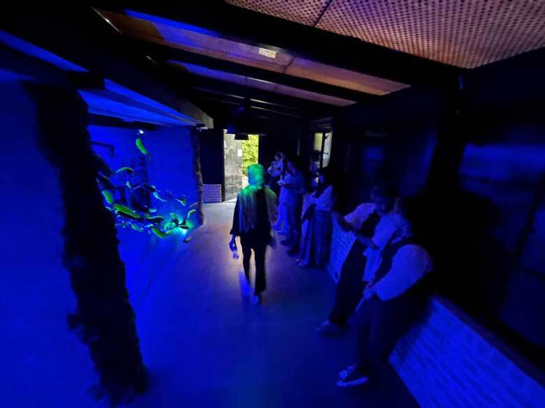 رودی که ماهیها را میکشد! رودی که ماهیها را میکشد!