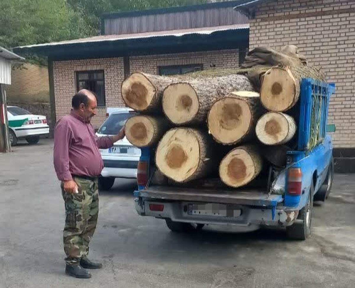 خودروی حامل یک و نیم تن صنوبر قاچاق در جاده چالوس توقیف شد