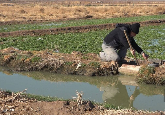 آبیاری سنتی، راهکار مناسب افزایش تولید محصول نیست