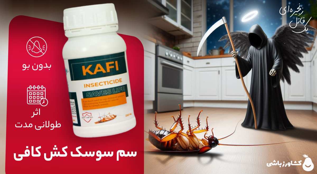 از بین بردن سوسک کابینت با سمپاشی سوسک با سم سوسک کش کافی - kafi