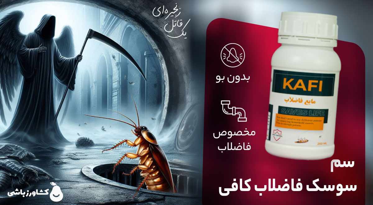 از بین بردن سوسک فاضلاب با سم سوسک فاضلاب کافی